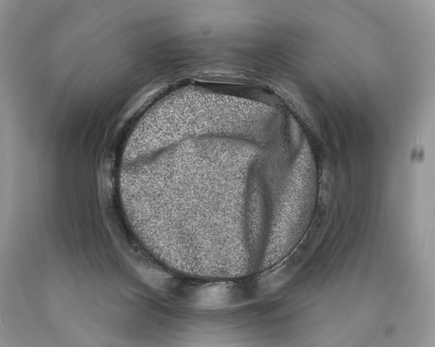 X0000089960116200707271909