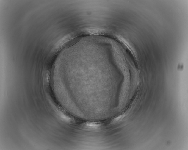 X0000089960117200707271909