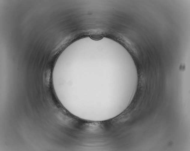 X0000089960118200707271909