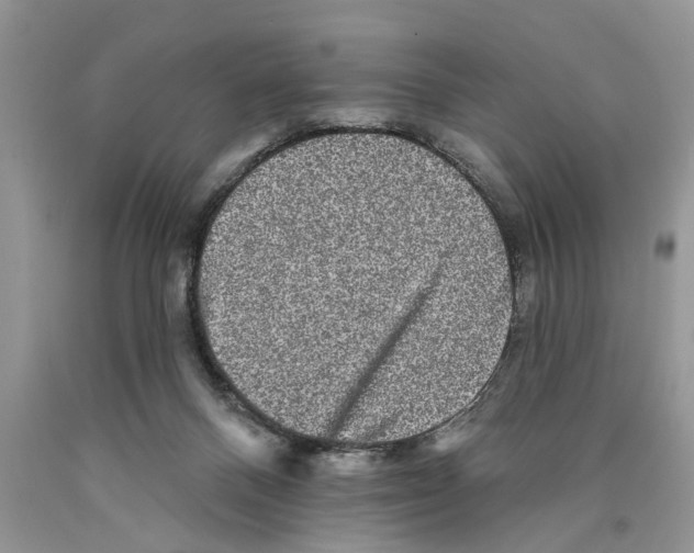 X0000089960120200707271909