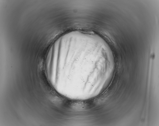 X0000089960123200707271909