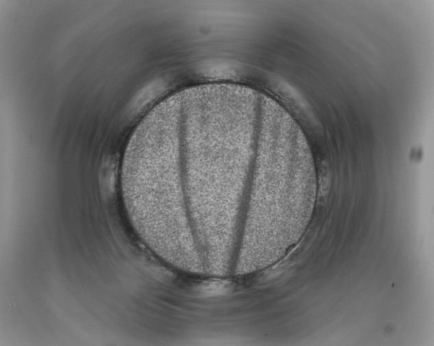 X0000089960124200707271909