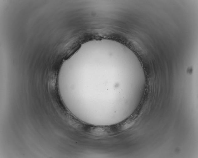 X0000089960129200707271909