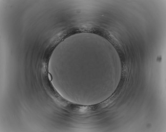 X0000089960130200707271909