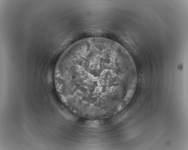 X0000089960131200707271909