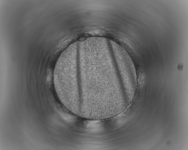 X0000089960132200707271909