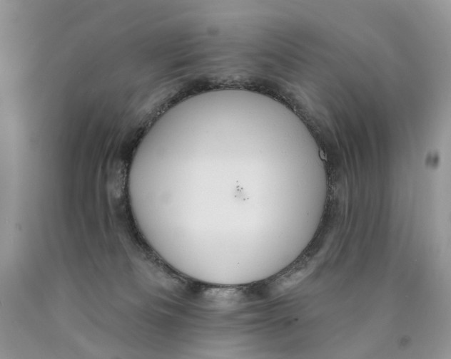 X0000089960133200707271909