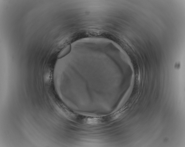 X0000089960134200707271909