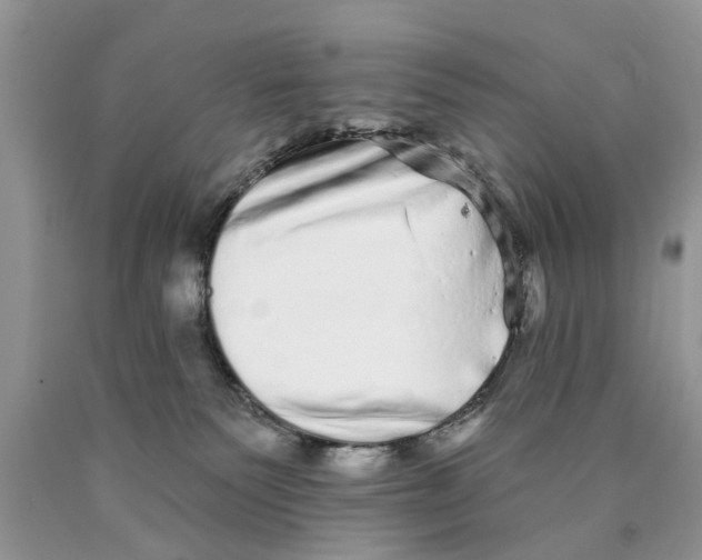 X0000089960135200707271909