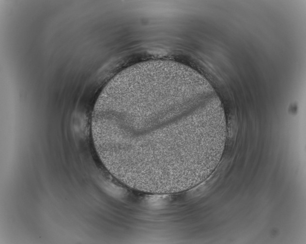 X0000089960136200707271909