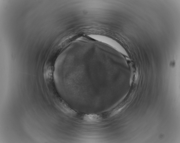 X0000089960137200707271909