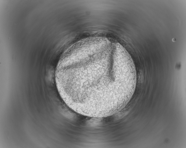 X0000089960138200707271909