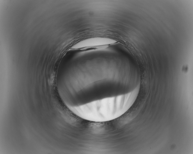 X0000089960139200707271909