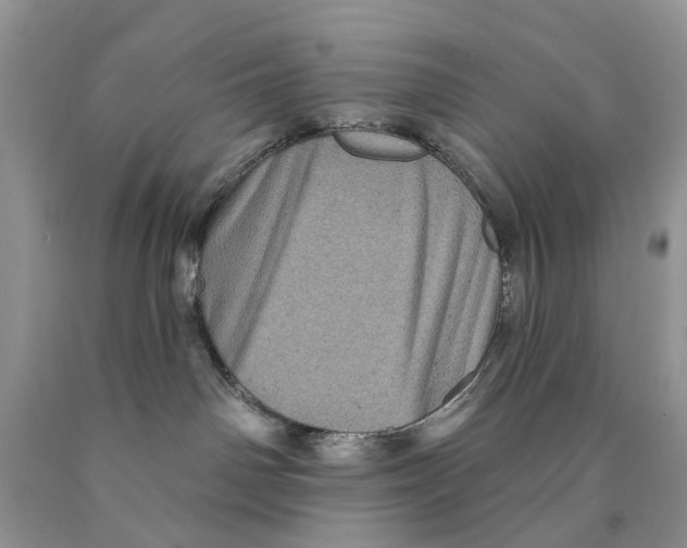 X0000089960142200707271909