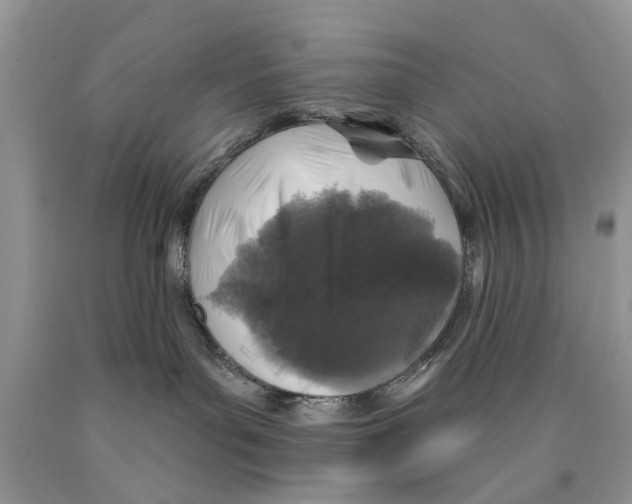 X0000089960143200707271909