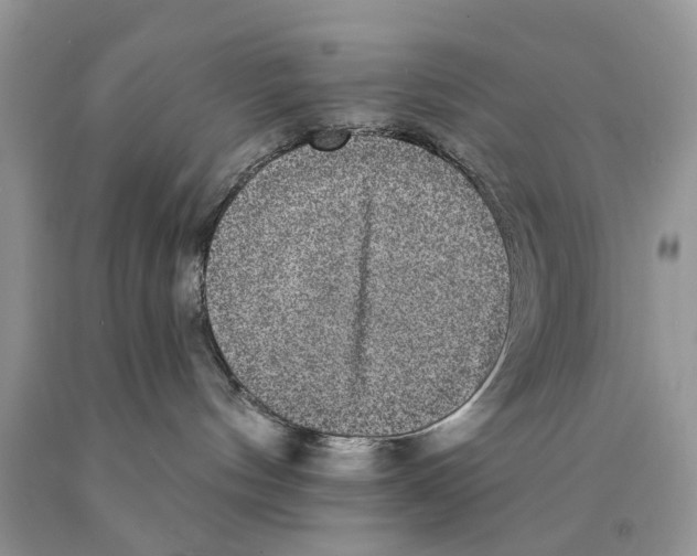 X0000089960144200707271909