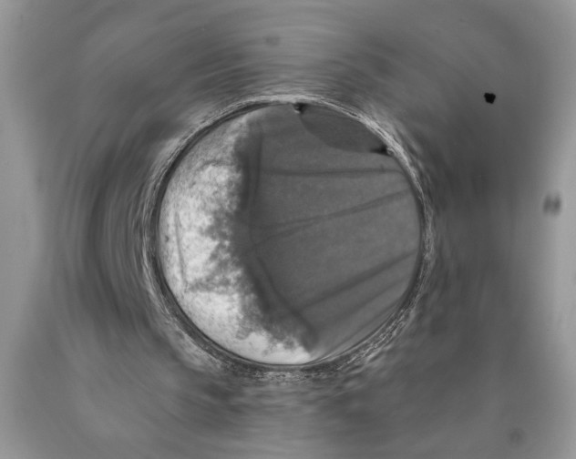 X0000089960145200707271908