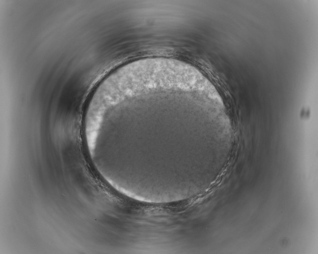 X0000089960146200707271908