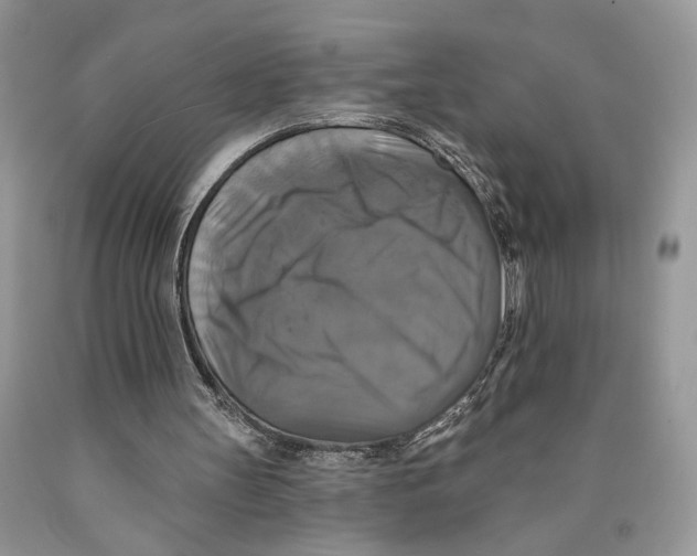 X0000089960147200707271908