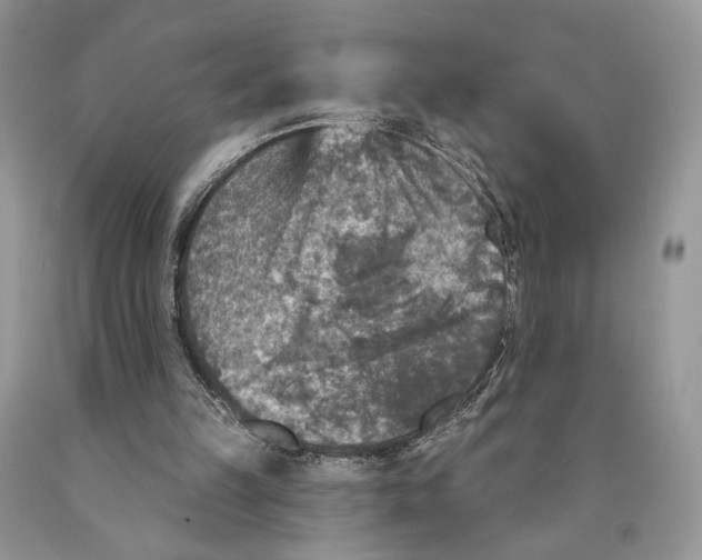 X0000089960149200707271908