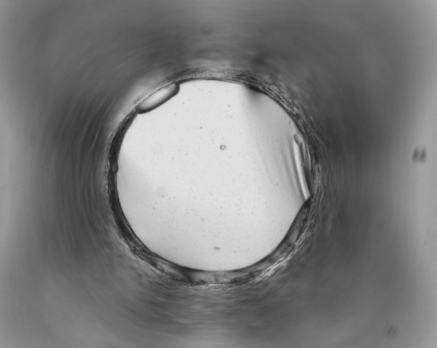 X0000089960150200707271908