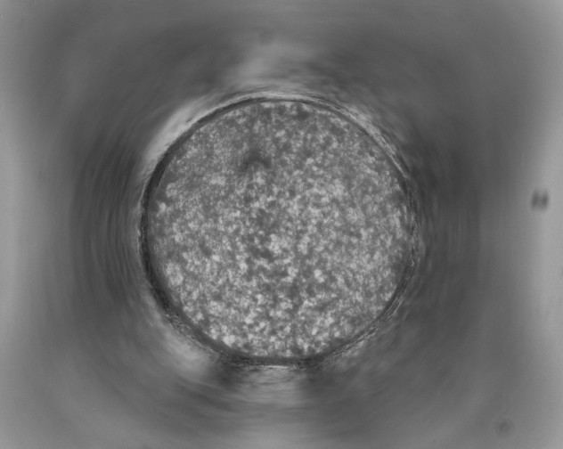 X0000089960151200707271908