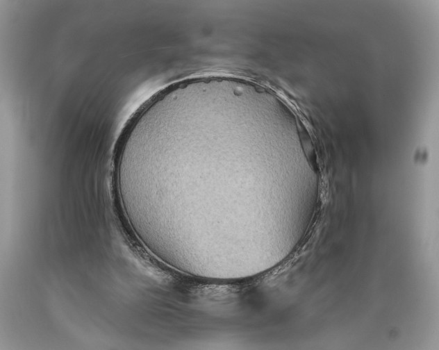 X0000089960152200707271908