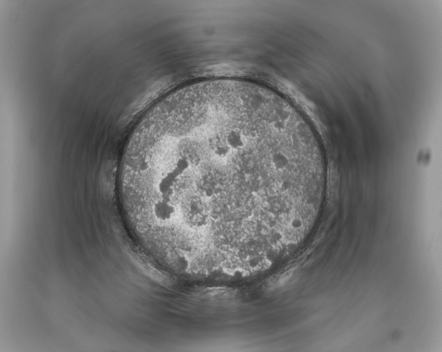 X0000089960153200707271908