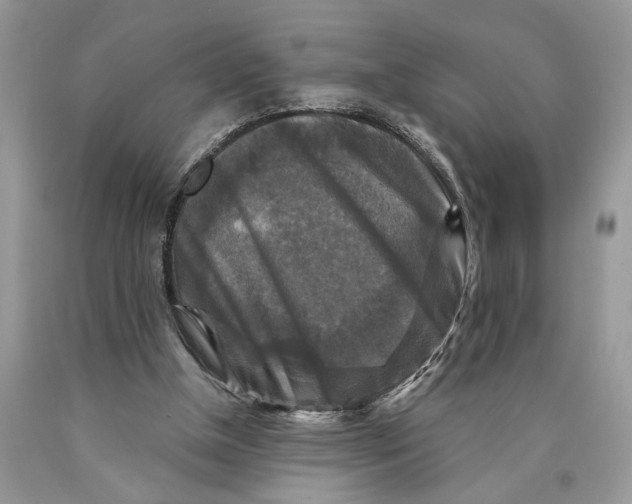 X0000089960154200707271908