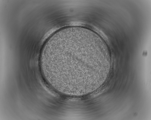 X0000089960155200707271908