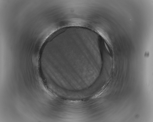 X0000089960156200707271908