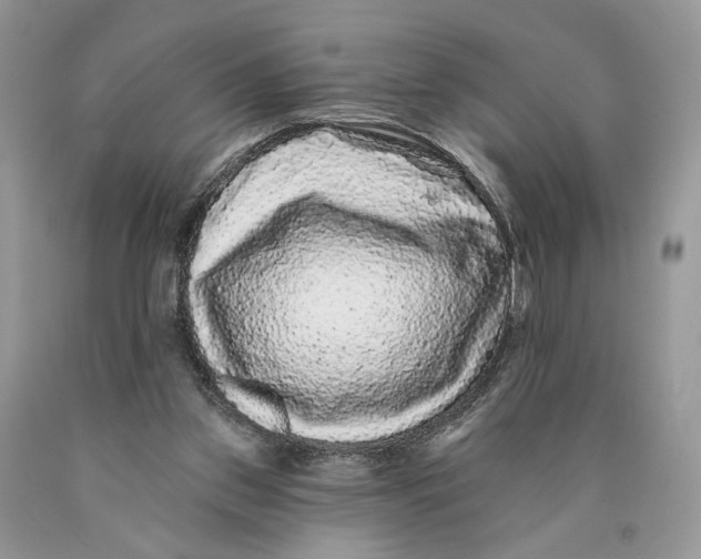 X0000089960157200707271908