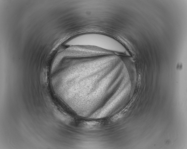 X0000089960158200707271908