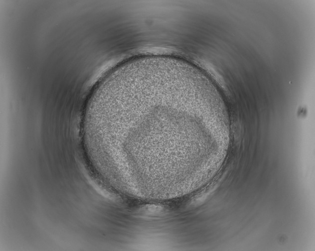 X0000089960159200707271908