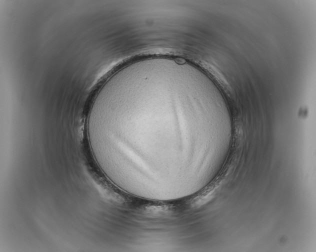 X0000089960160200707271908