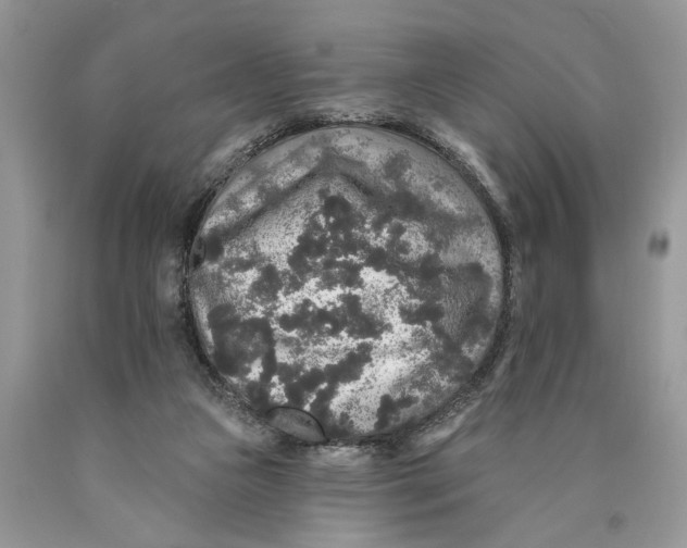 X0000089960161200707271908