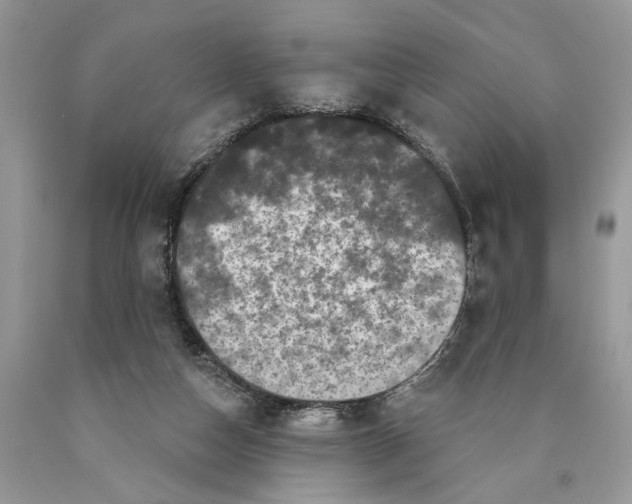 X0000089960162200707271908