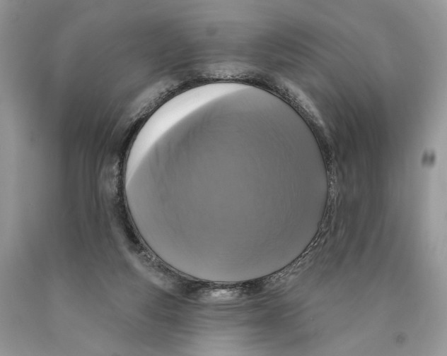 X0000089960163200707271908