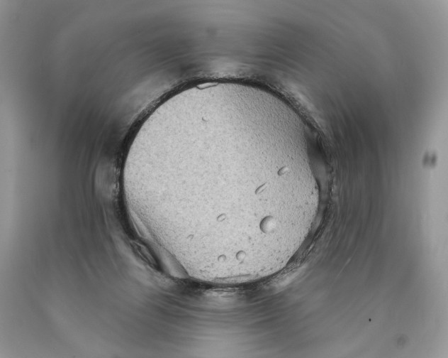 X0000089960164200707271908