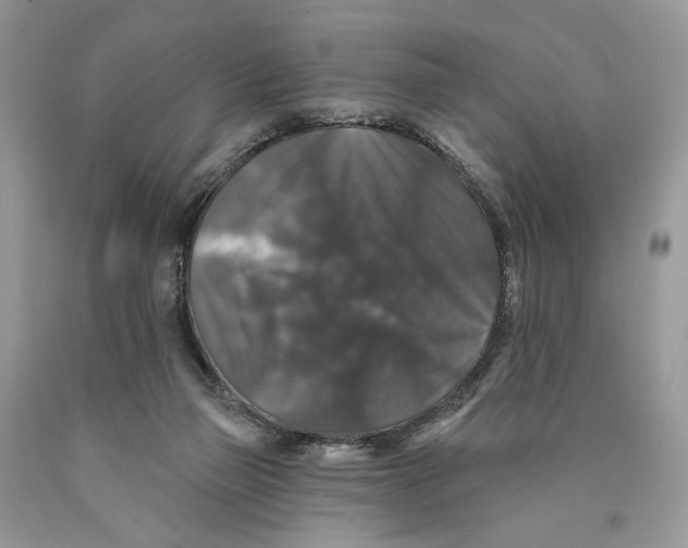 X0000089960165200707271908