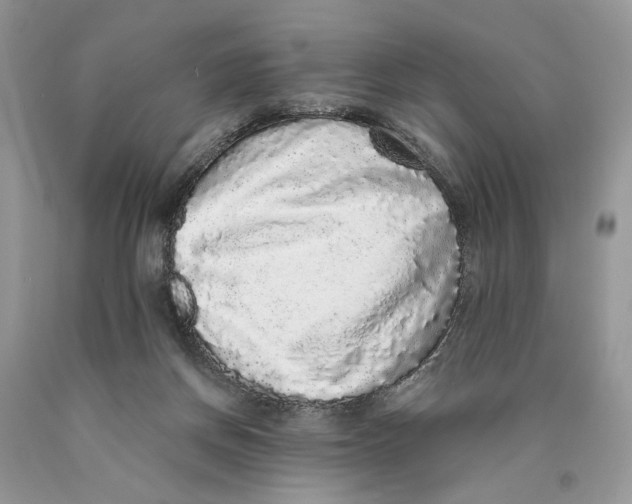 X0000089960166200707271908