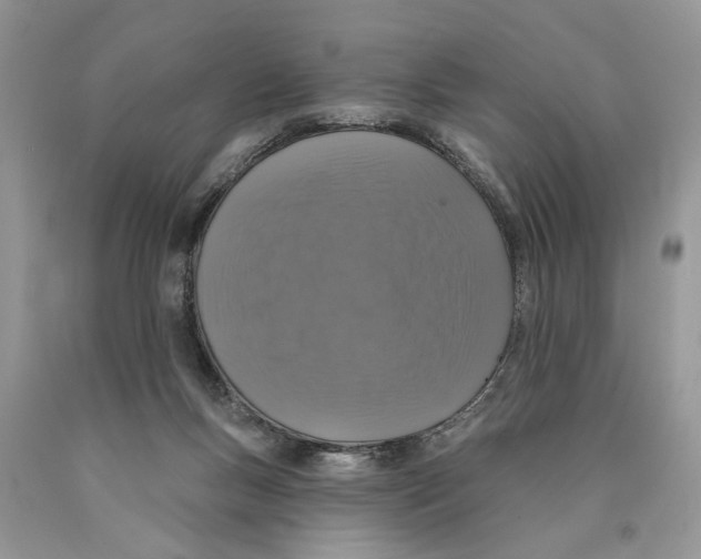 X0000089960167200707271908