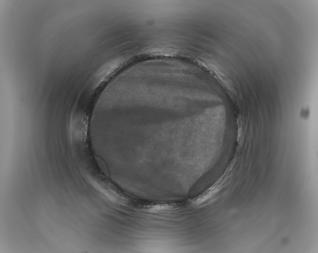 X0000089960168200707271908