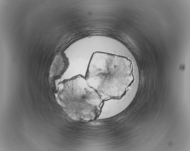 X0000089960169200707271908