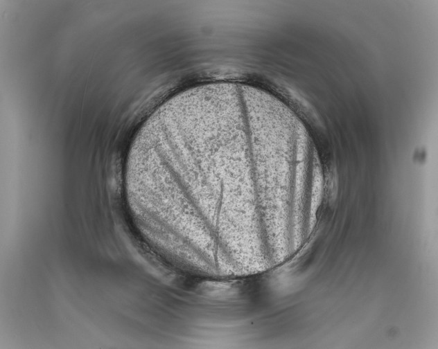 X0000089960170200707271908