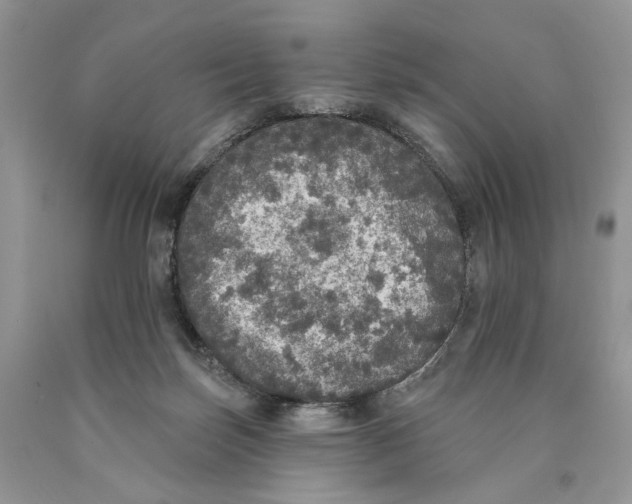 X0000089960171200707271908