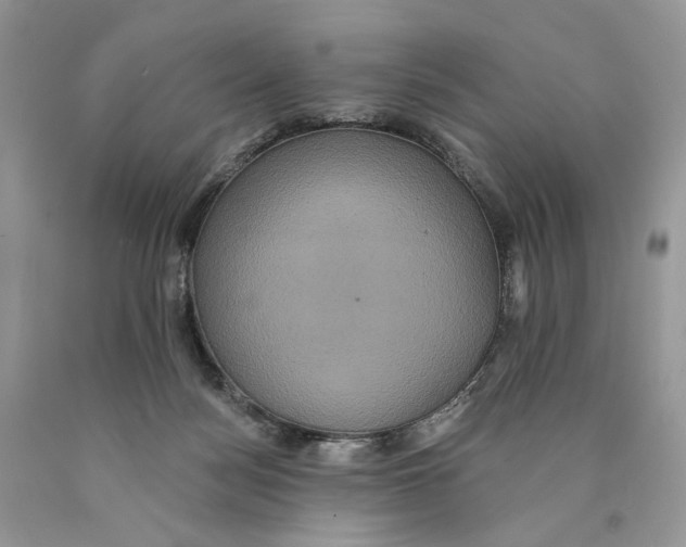 X0000089960172200707271908