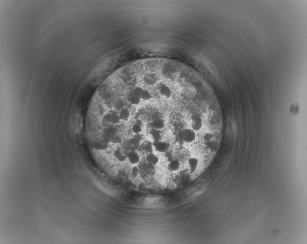 X0000089960173200707271908