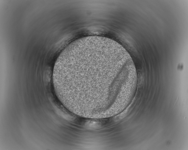 X0000089960174200707271908