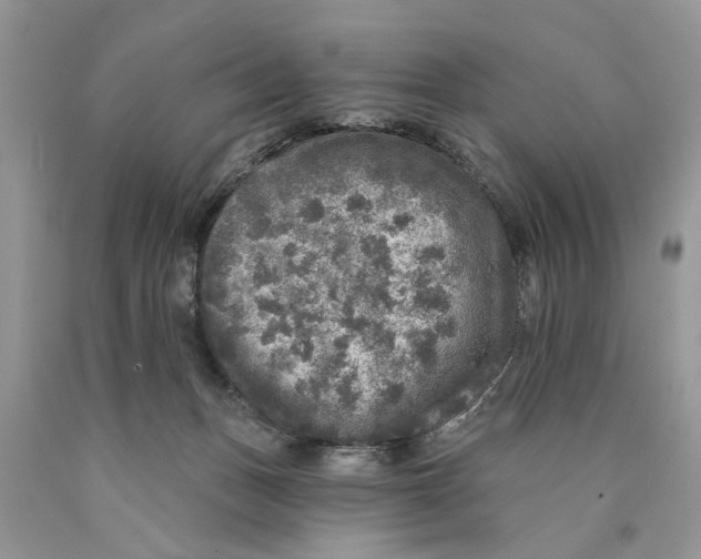 X0000089960175200707271908